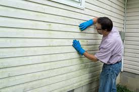 Best Wood Siding Installation  in Brea, CA